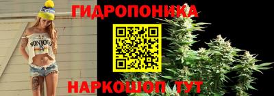 крисы Ливны